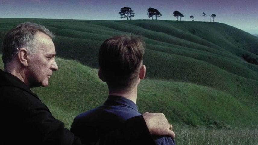 1984-fields