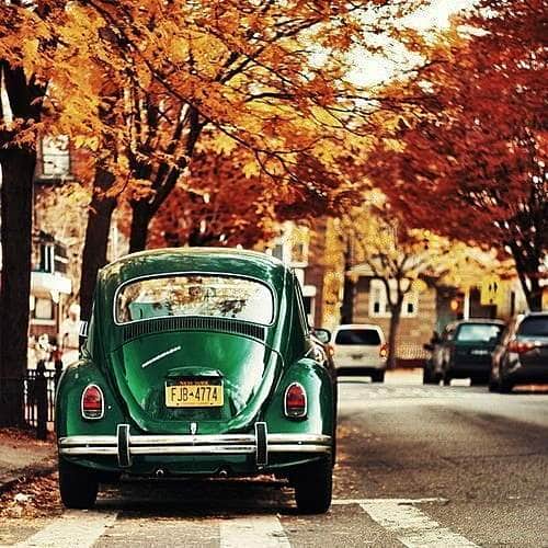 autumn-car