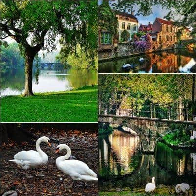 nature-of-brugge