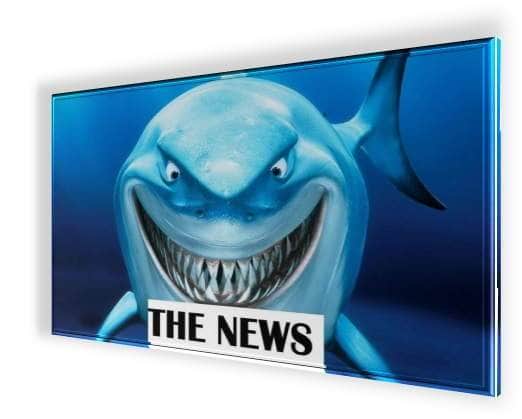 shark