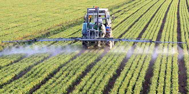 bayer-monsanto
