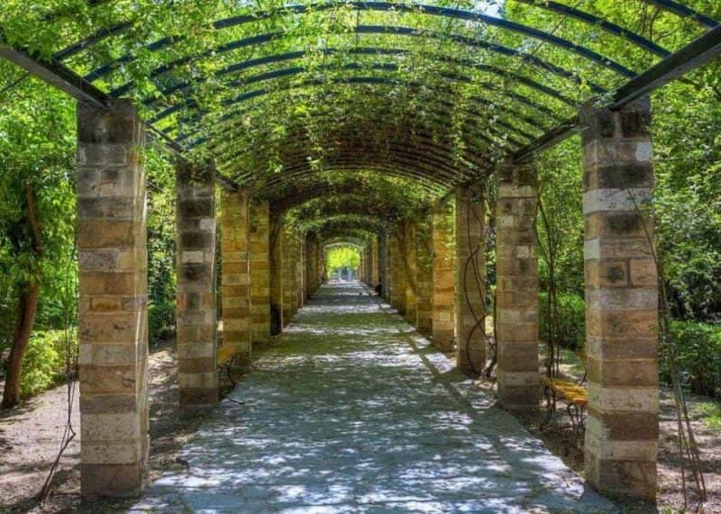 walk-inside-the-national-garden-situated-in-syntagma