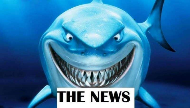 Οι Speciaλίστες sharkάζουν (07/11 – 13/11)