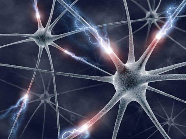 Αισθητηριακές Διεργασίες ΙΙΙ – Όσφρηση/Γεύση/Αφή