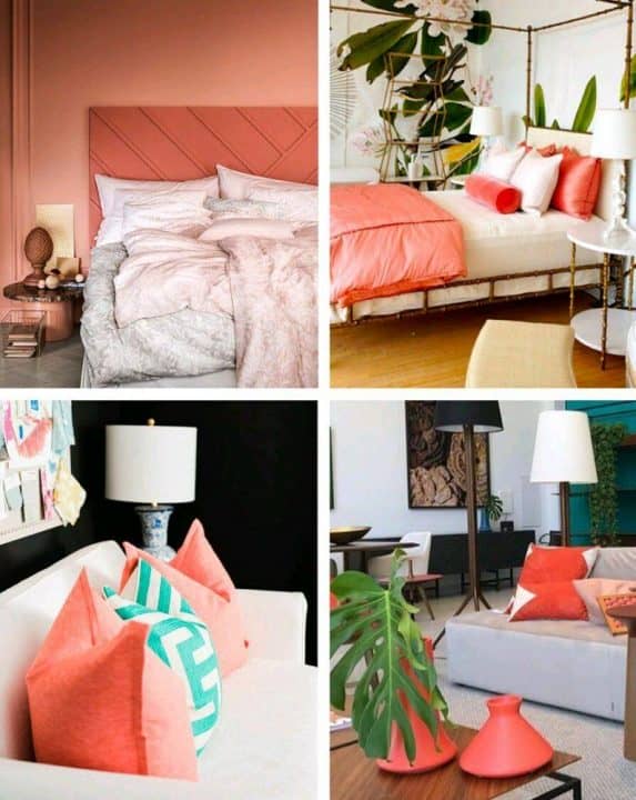 Living coral