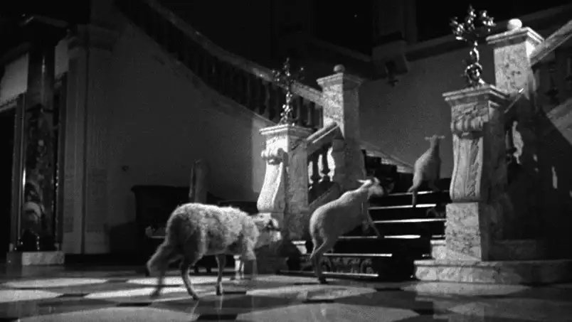 Luis Buñuel