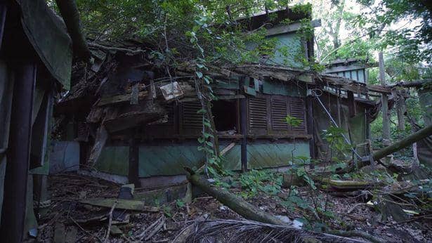 Discovery Island