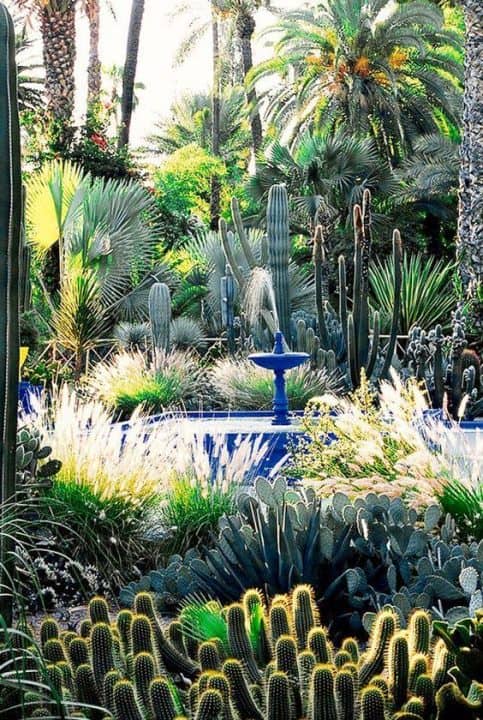 O κήπος Majorelle : μια μαγευτική όαση στο Μαρόκο