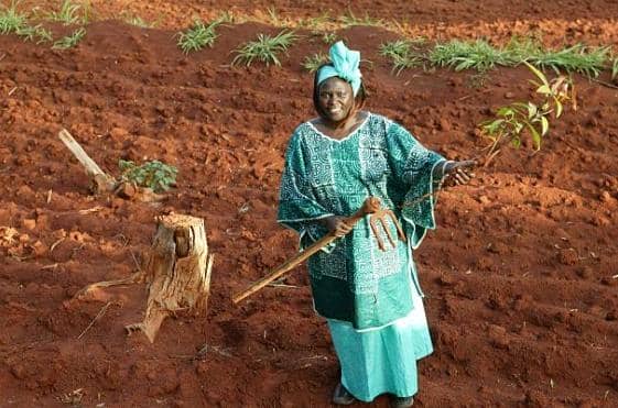 Wangari Maathai