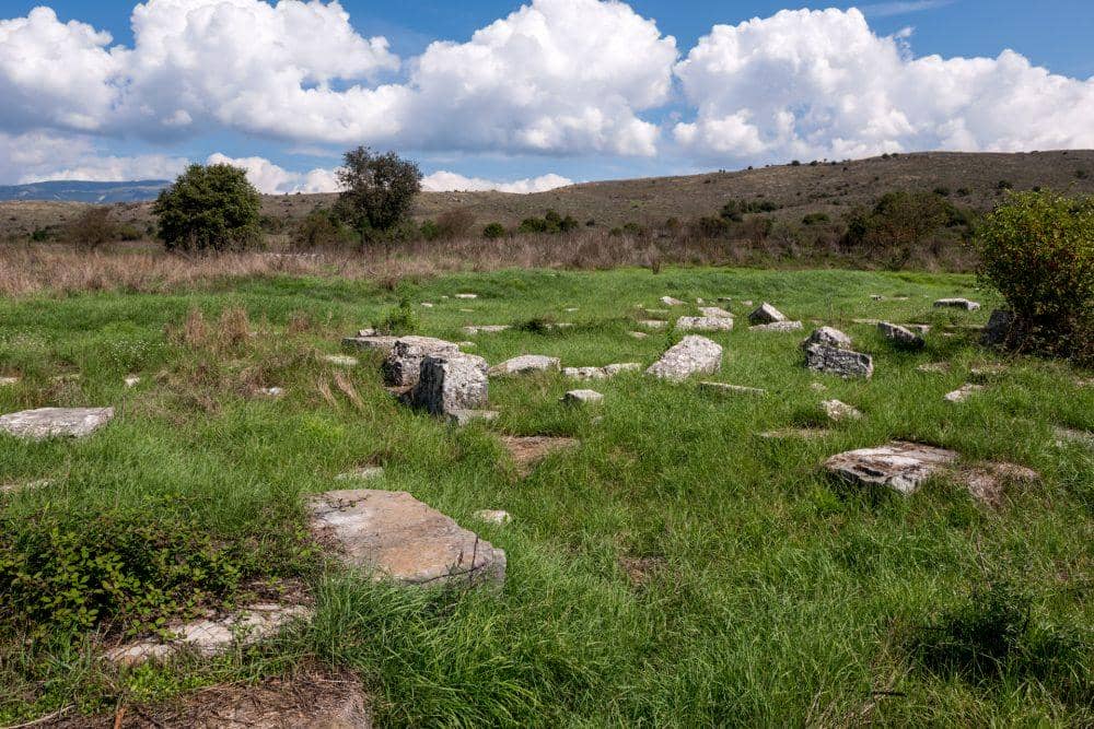 Ροδοτόπι