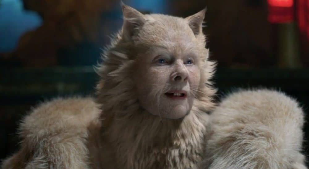 Cats