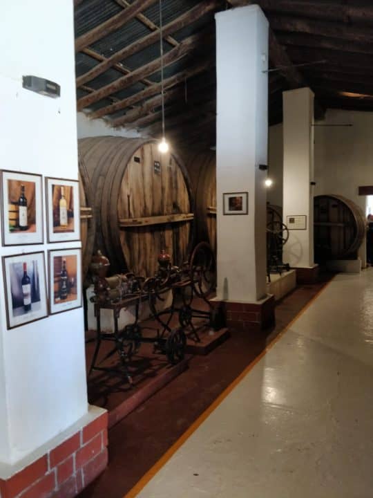 Cafayate