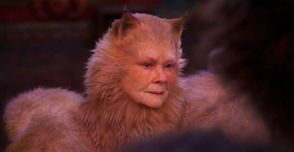 cats