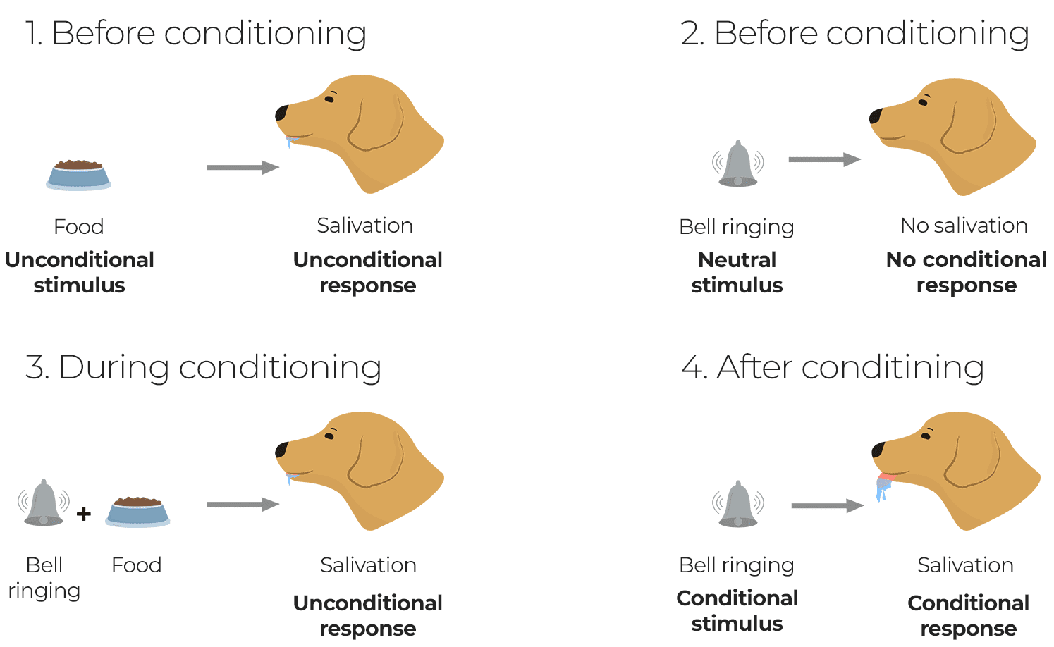 Pavlov