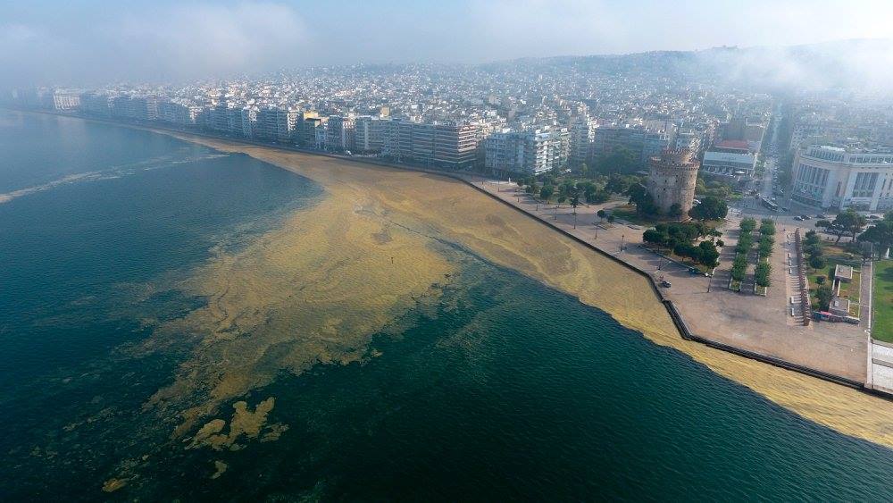 Ευτροφισμός