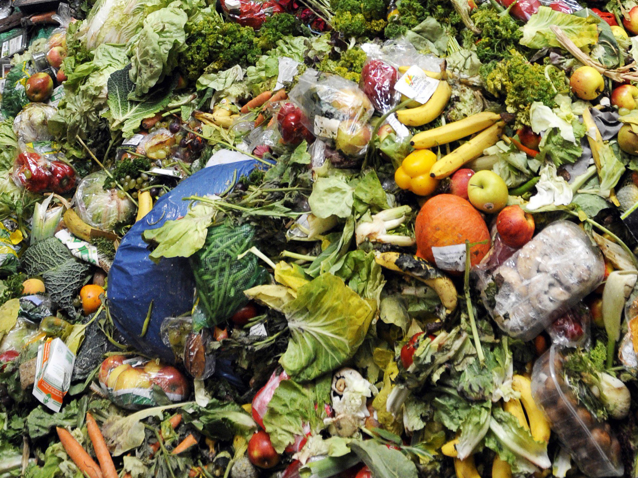 food waste, leftovers