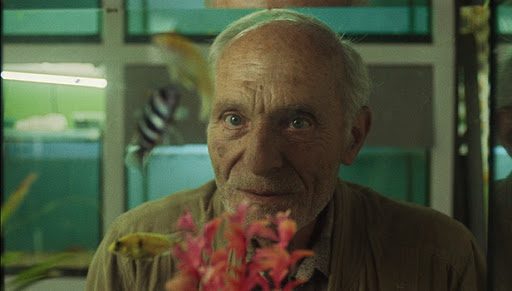 agria-disi 43ο Φεστιβάλ Δράμας