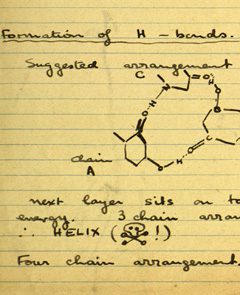 Rosalind Franklin