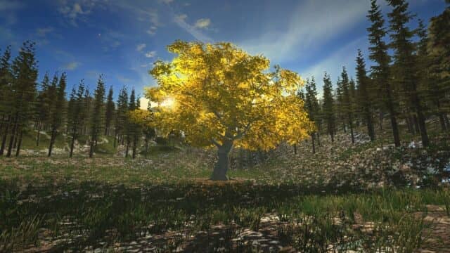 the-first-tree