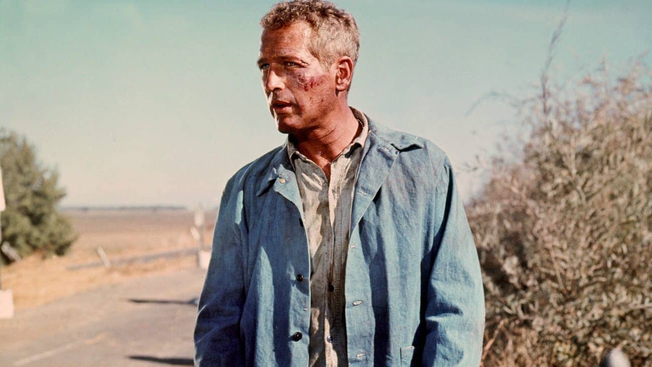 paul newman