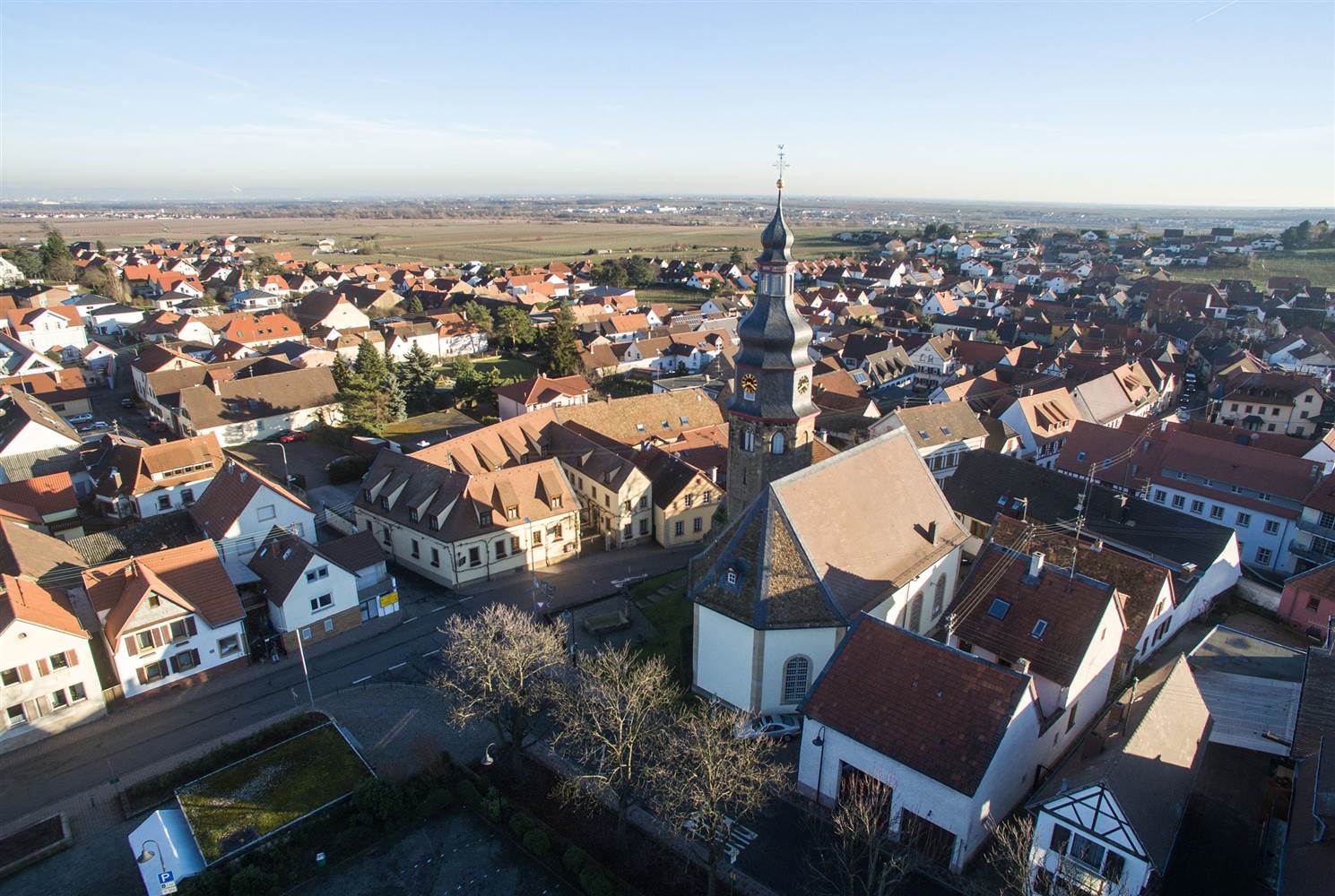 zlotoryja
