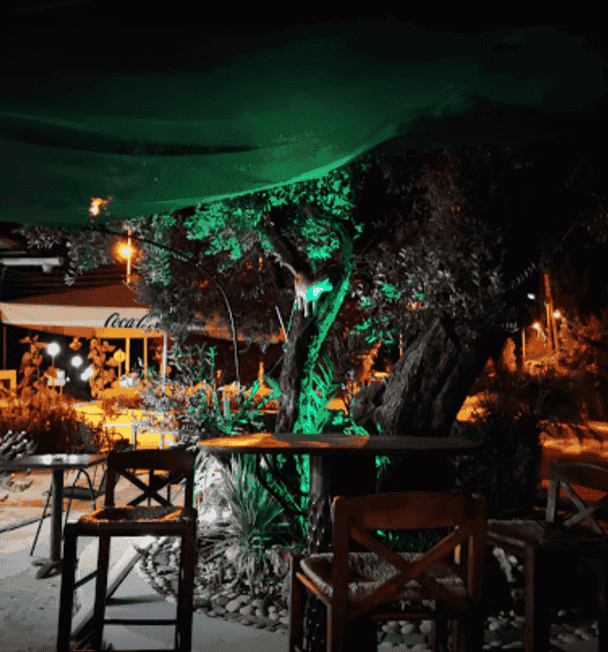 Καντίνα Μάσσαρι: Ο ιδανικός σταθμός για φαγητό στη Ρόδο